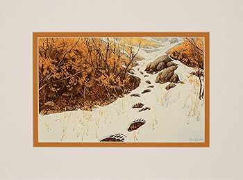 THE ART OF ＢＥＶ　DOOLITTLE The Art of Bev Doolittle: Doolittle, Bev: 9780553070095